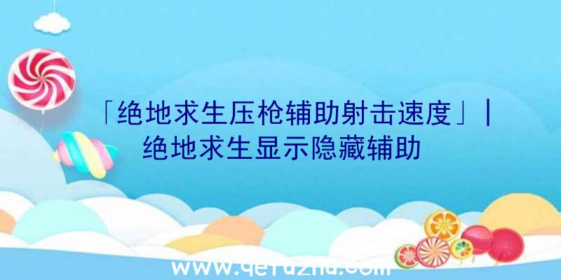 「绝地求生压枪辅助射击速度」|绝地求生显示隐藏辅助